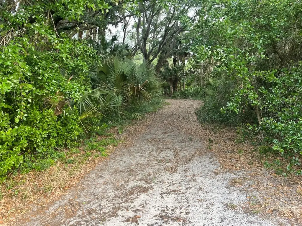 Picture 13