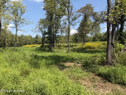 Land with Trail Network