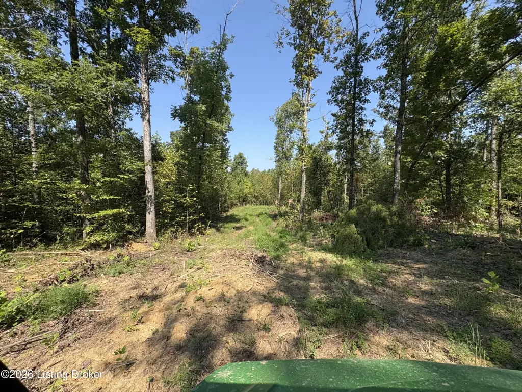 Picture 21