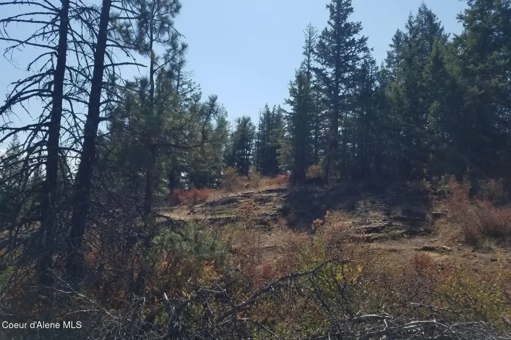 Picture 21