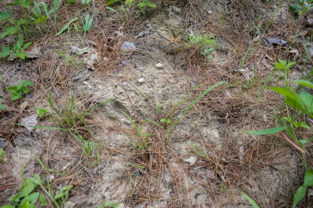 Picture 6