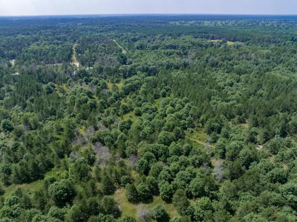 Picture 38