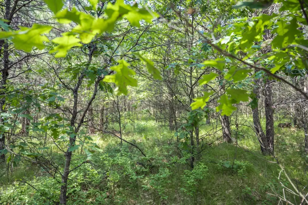 Picture 16