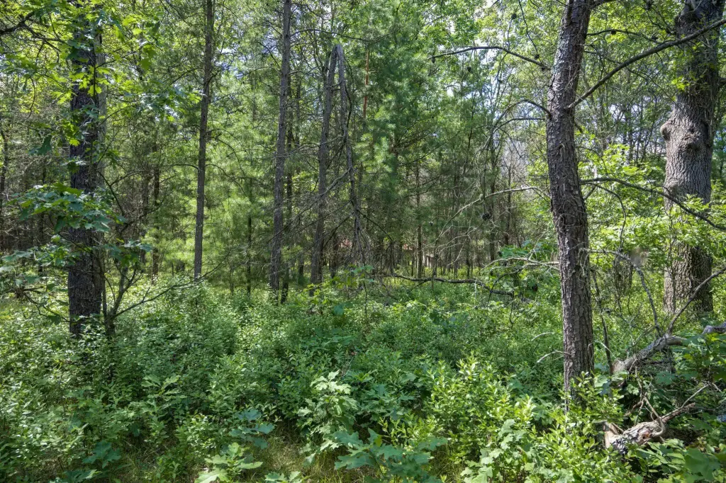 Picture 30