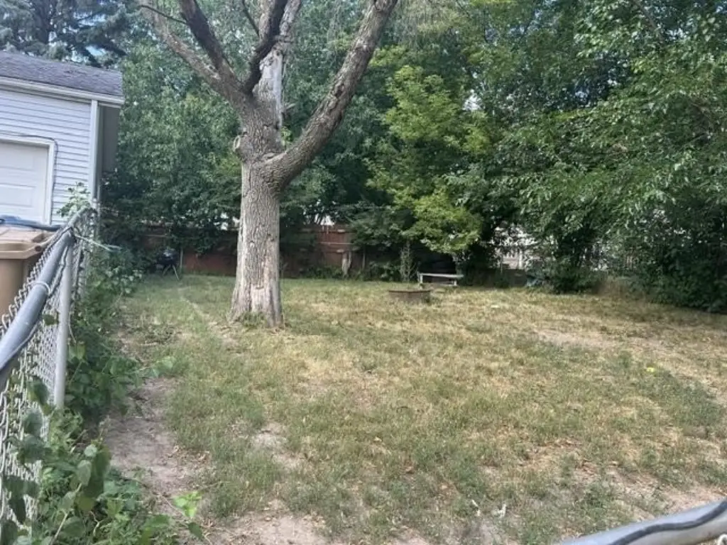 Picture 4