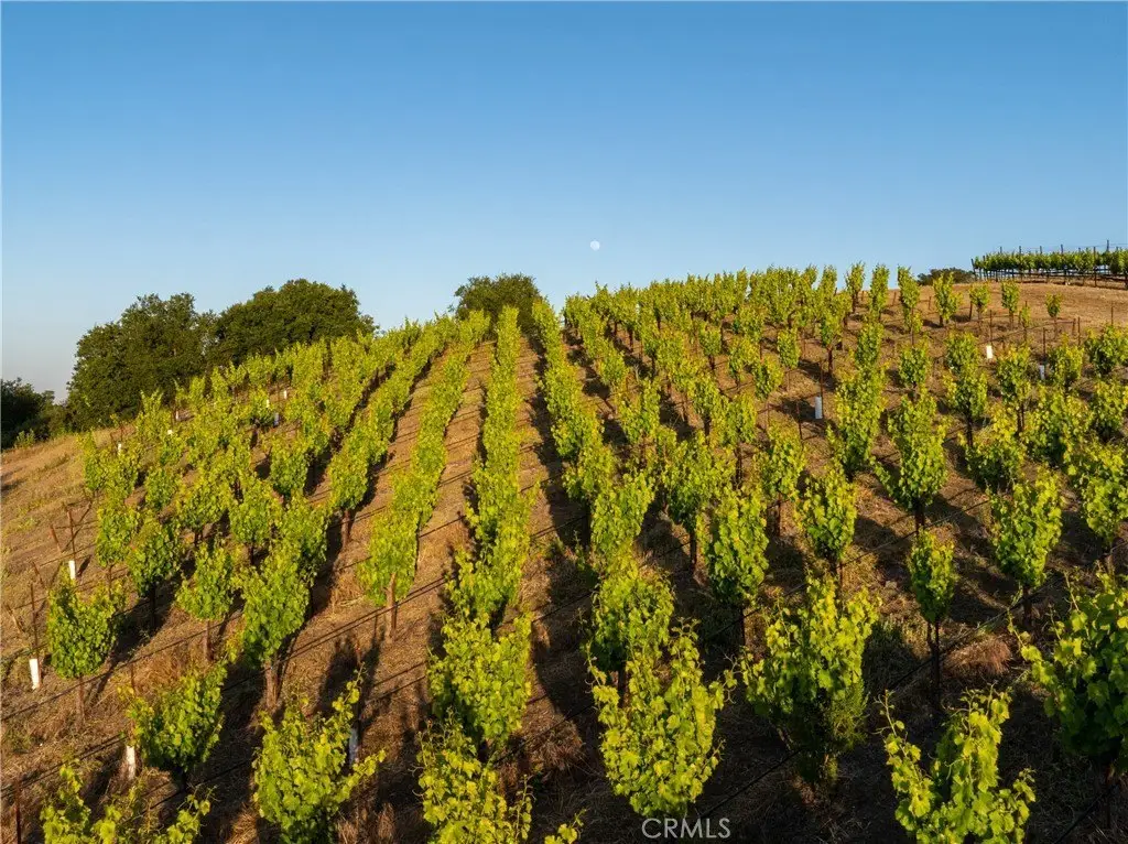 Picture 38