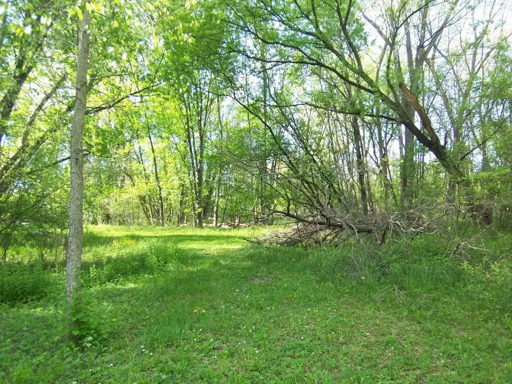 Picture 5