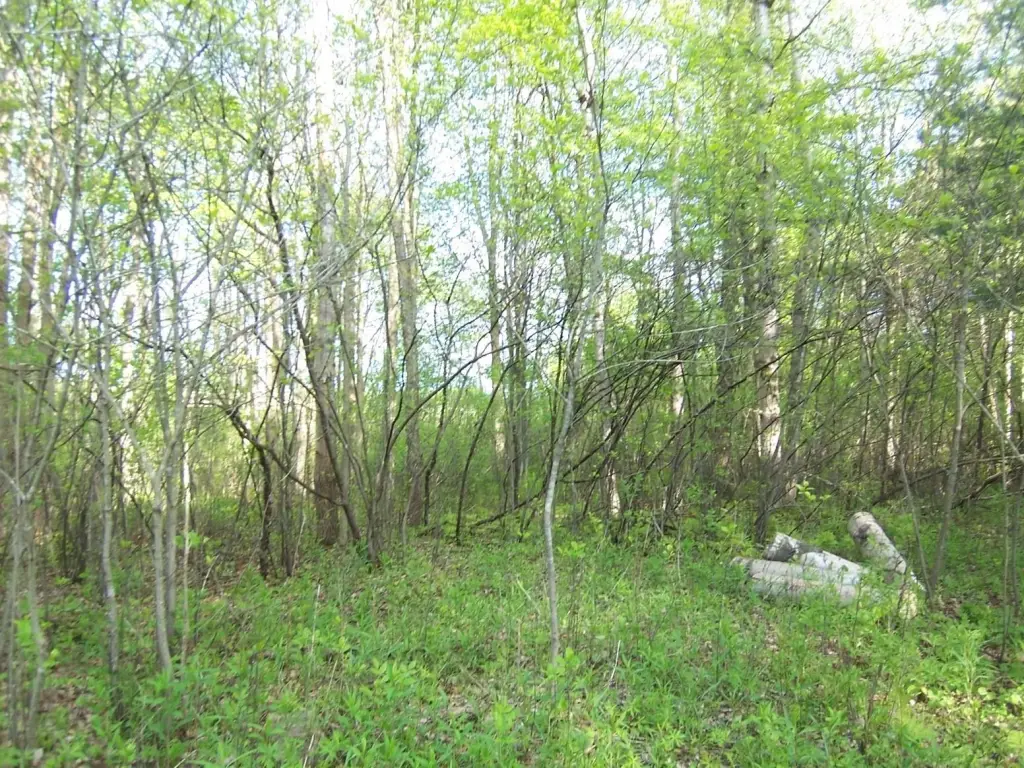 Picture 11