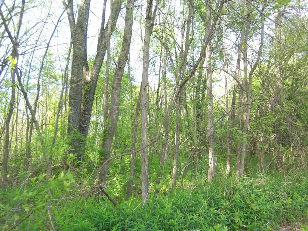 Picture 10