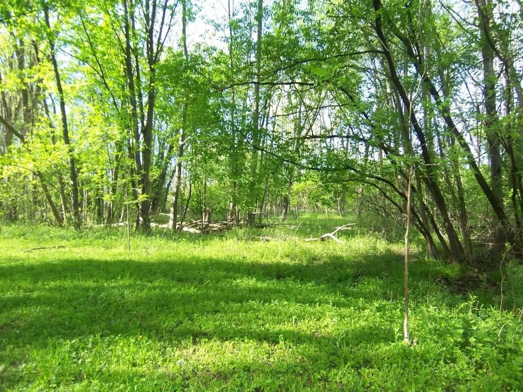 Picture 6
