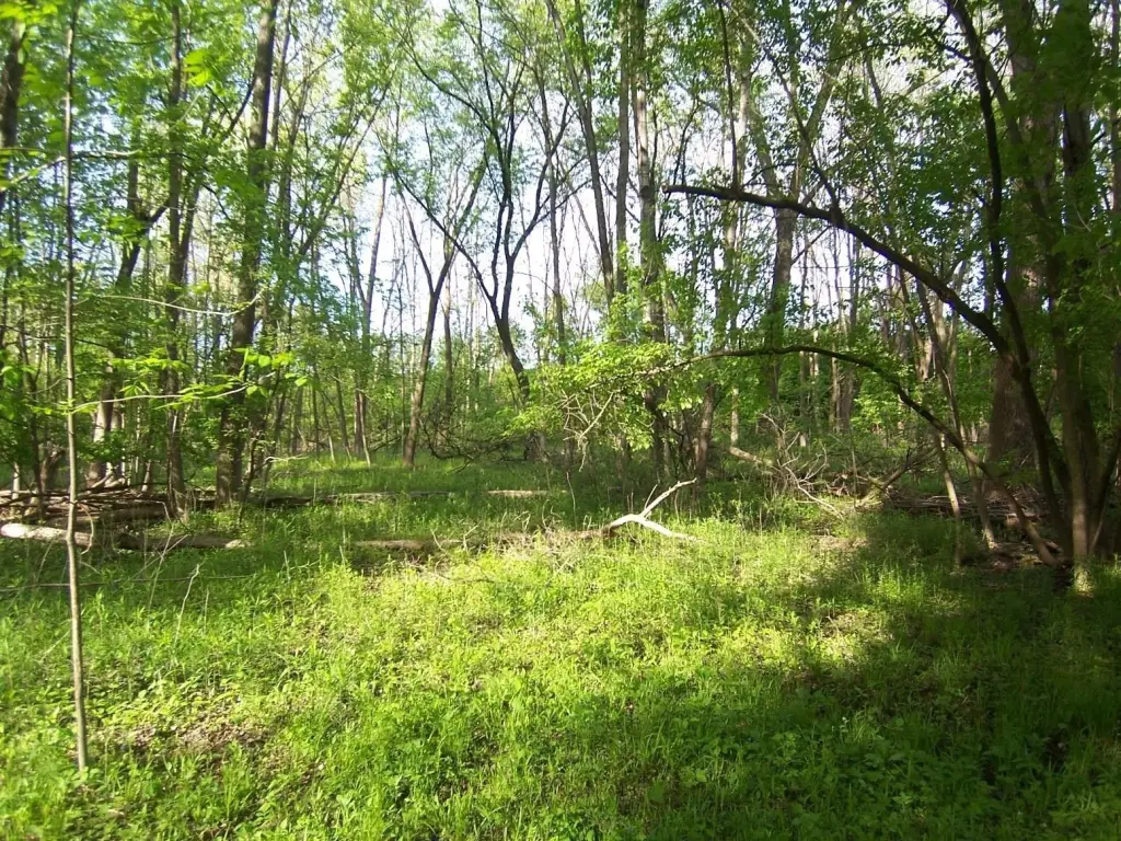 Picture 9