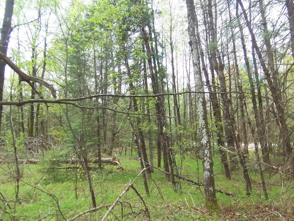 Picture 9