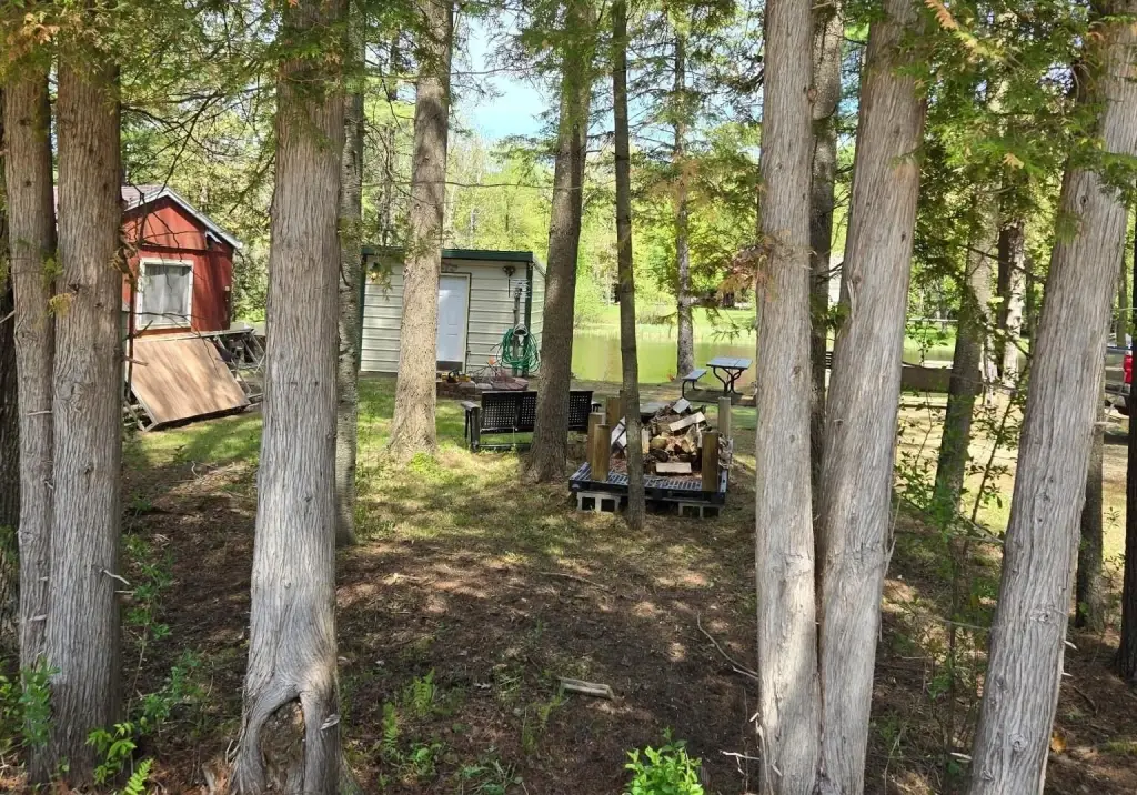 Picture 17