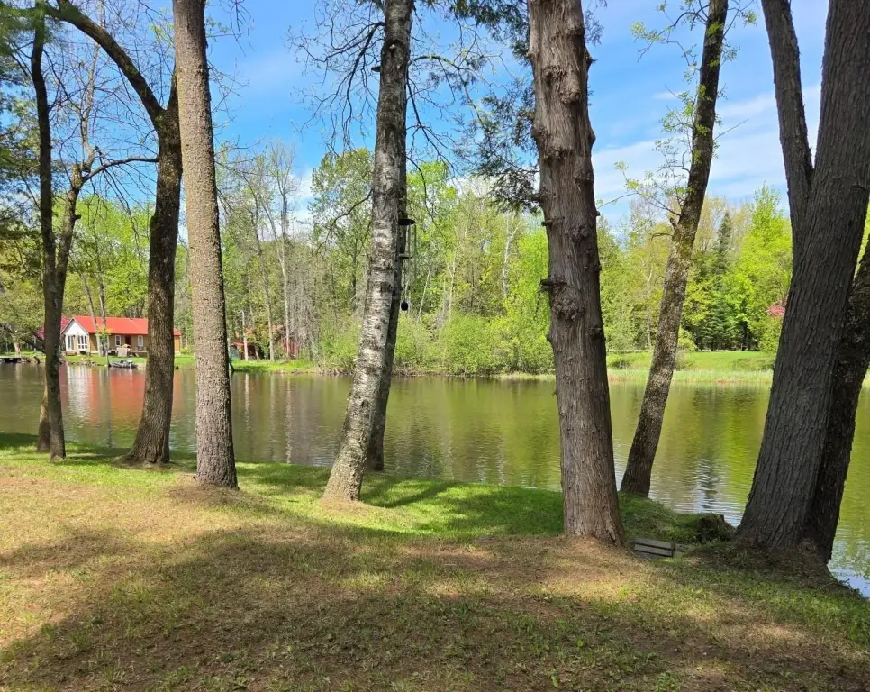 Picture 12