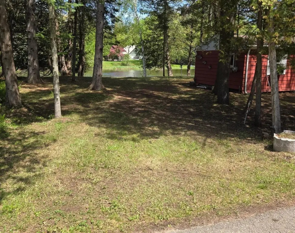 Picture 14