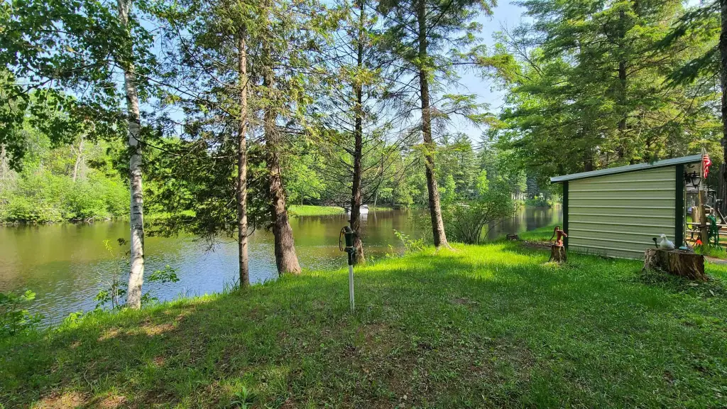 Picture 2