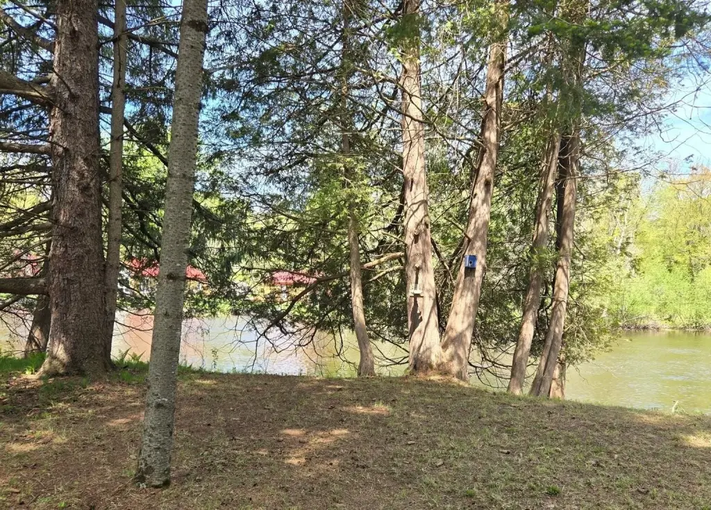Picture 26