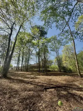White Oak Vacant Lot