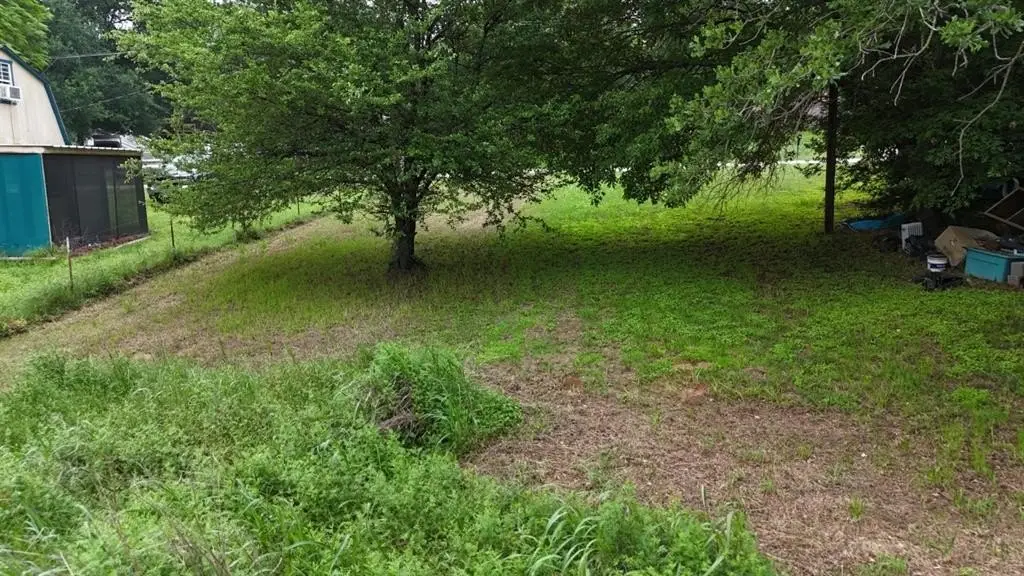 Picture 16