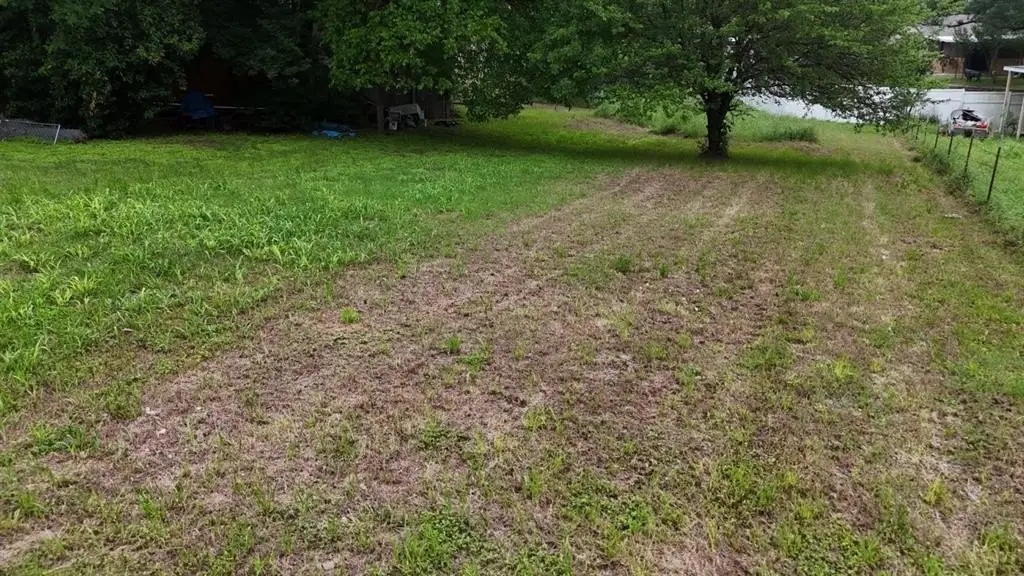 Picture 19