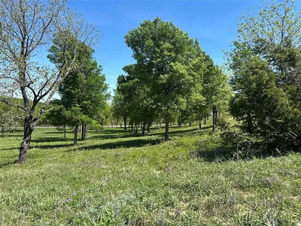 Picture 20