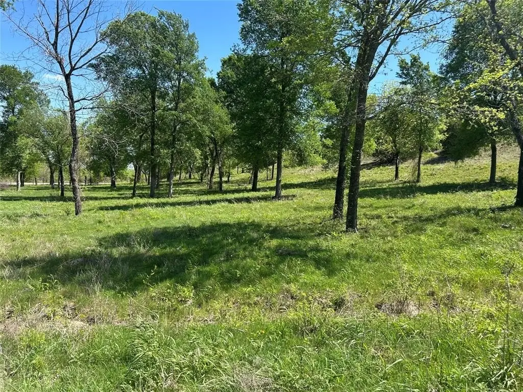 Picture 21