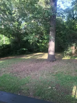 Land For Sale, Manchester, GA