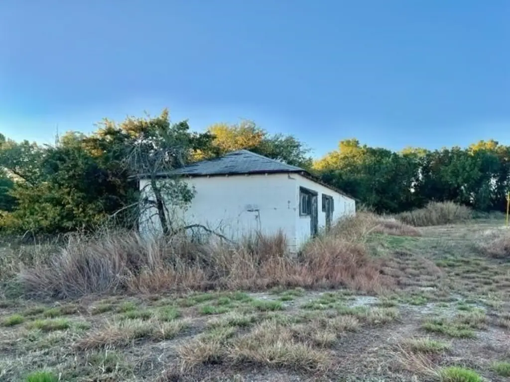 Picture 5