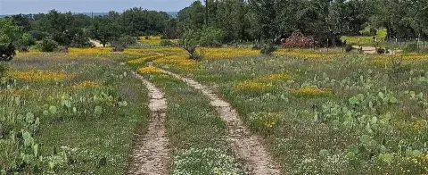Unimproved Land Near Downtown Mason