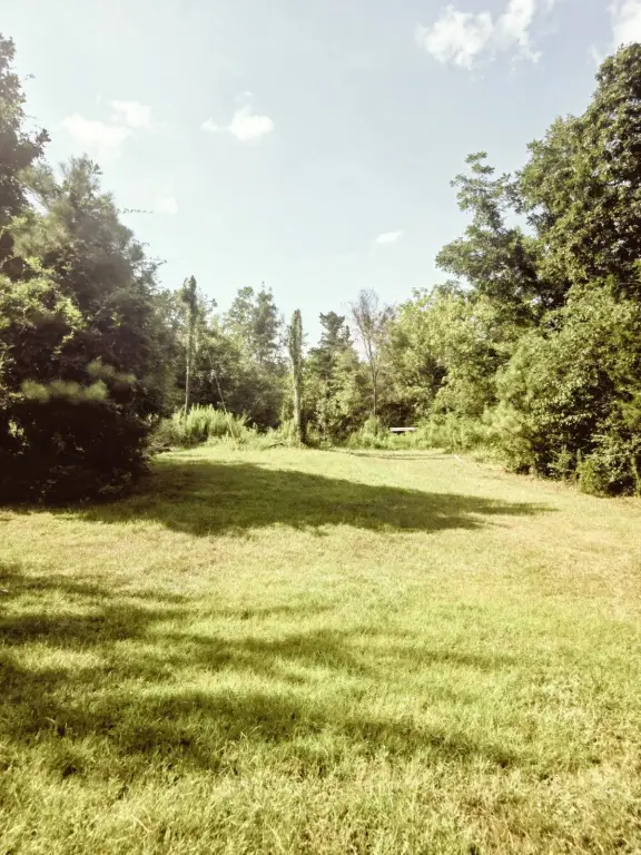 Picture 12