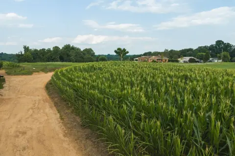Riverfront Agricultural Land