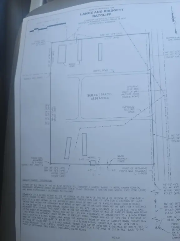 Picture 4
