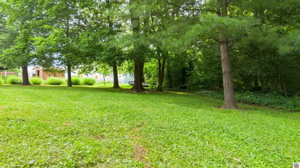 Picture 23