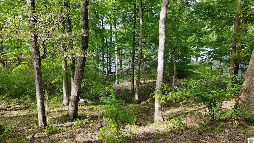 Picture 13