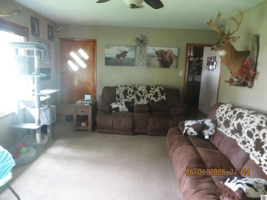 Picture 19