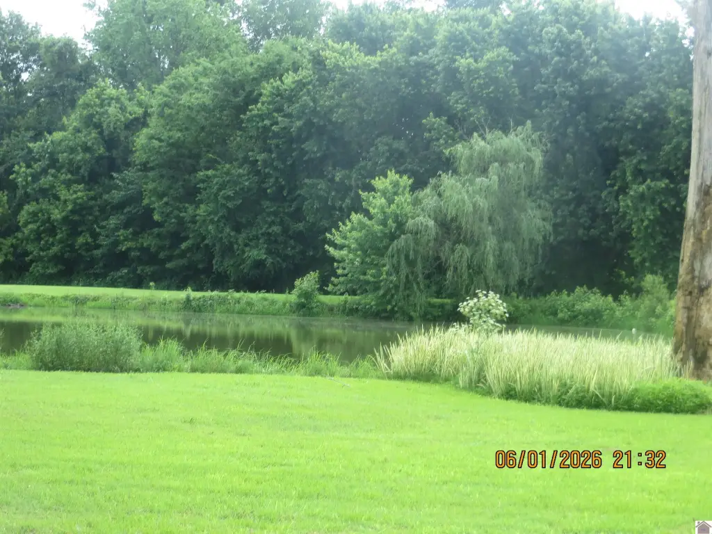 Picture 8