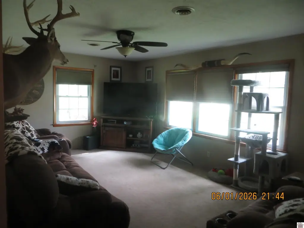 Picture 18