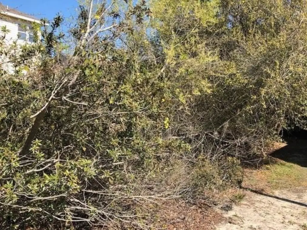 Picture 9