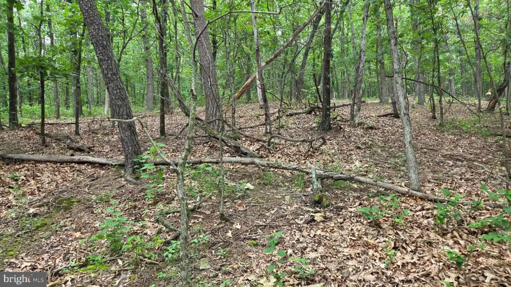 Picture 29