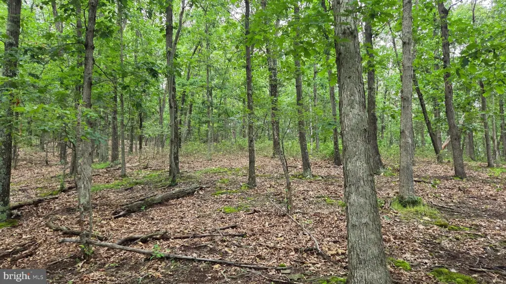 Picture 16