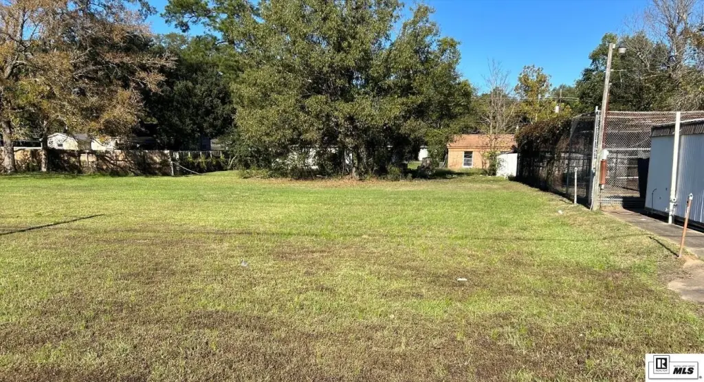 Picture 3