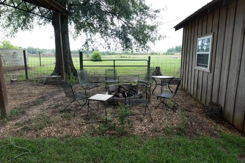 Picture 19