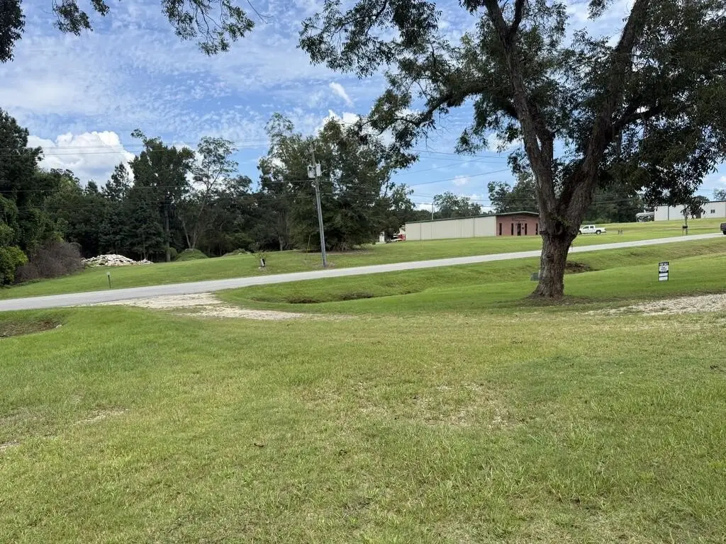 Picture 15