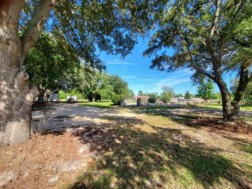 Picture 25