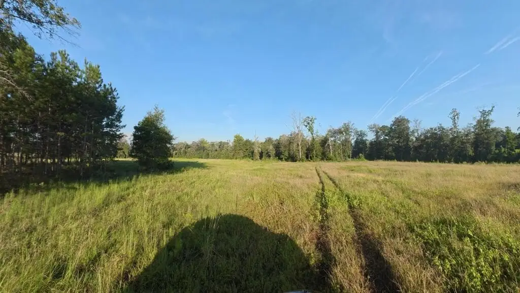 Picture 8