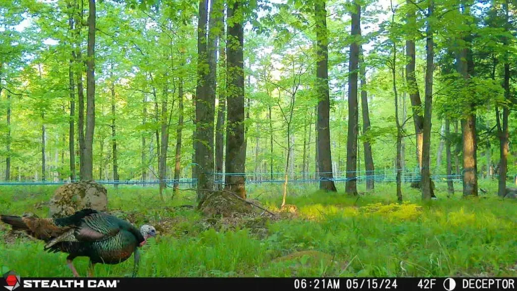 Picture 2