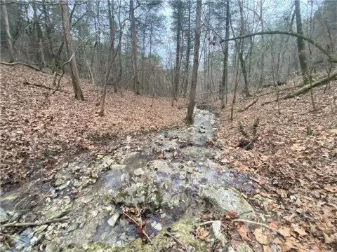 60 Acres Near Buffalo River