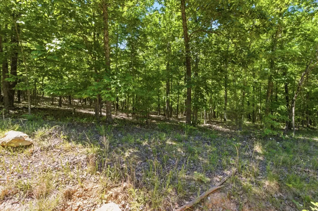 Picture 14