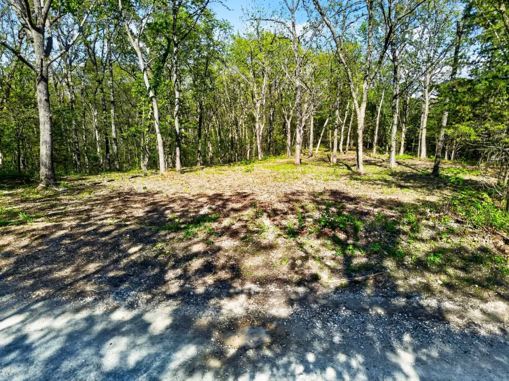 Picture 15