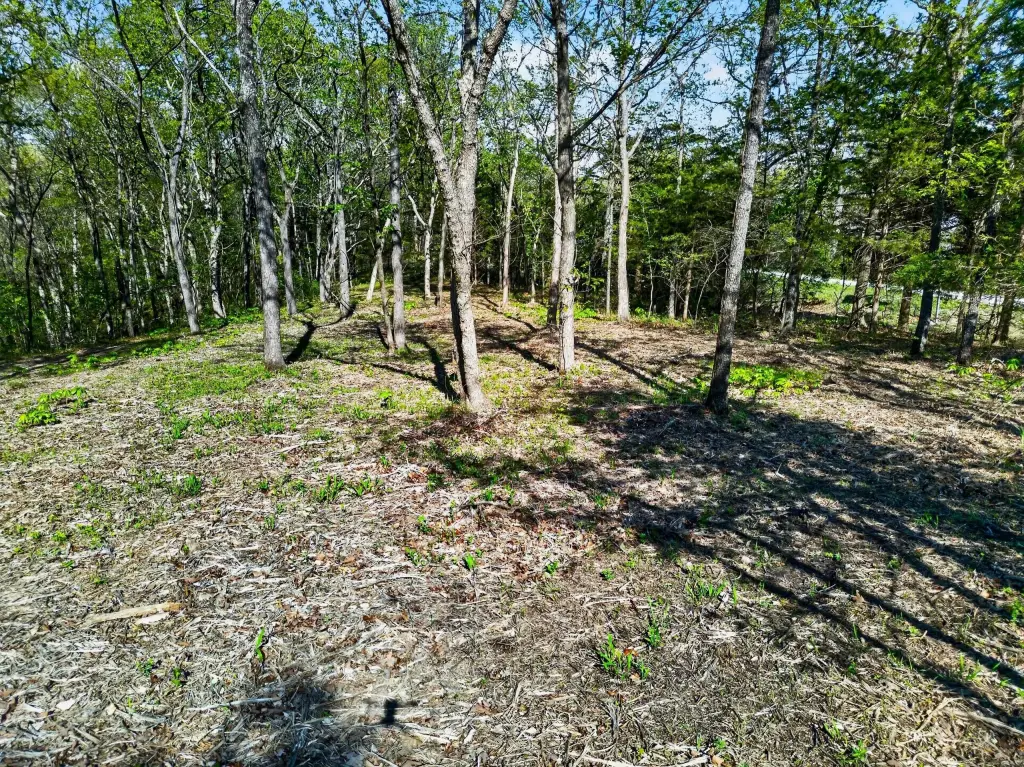 Picture 14
